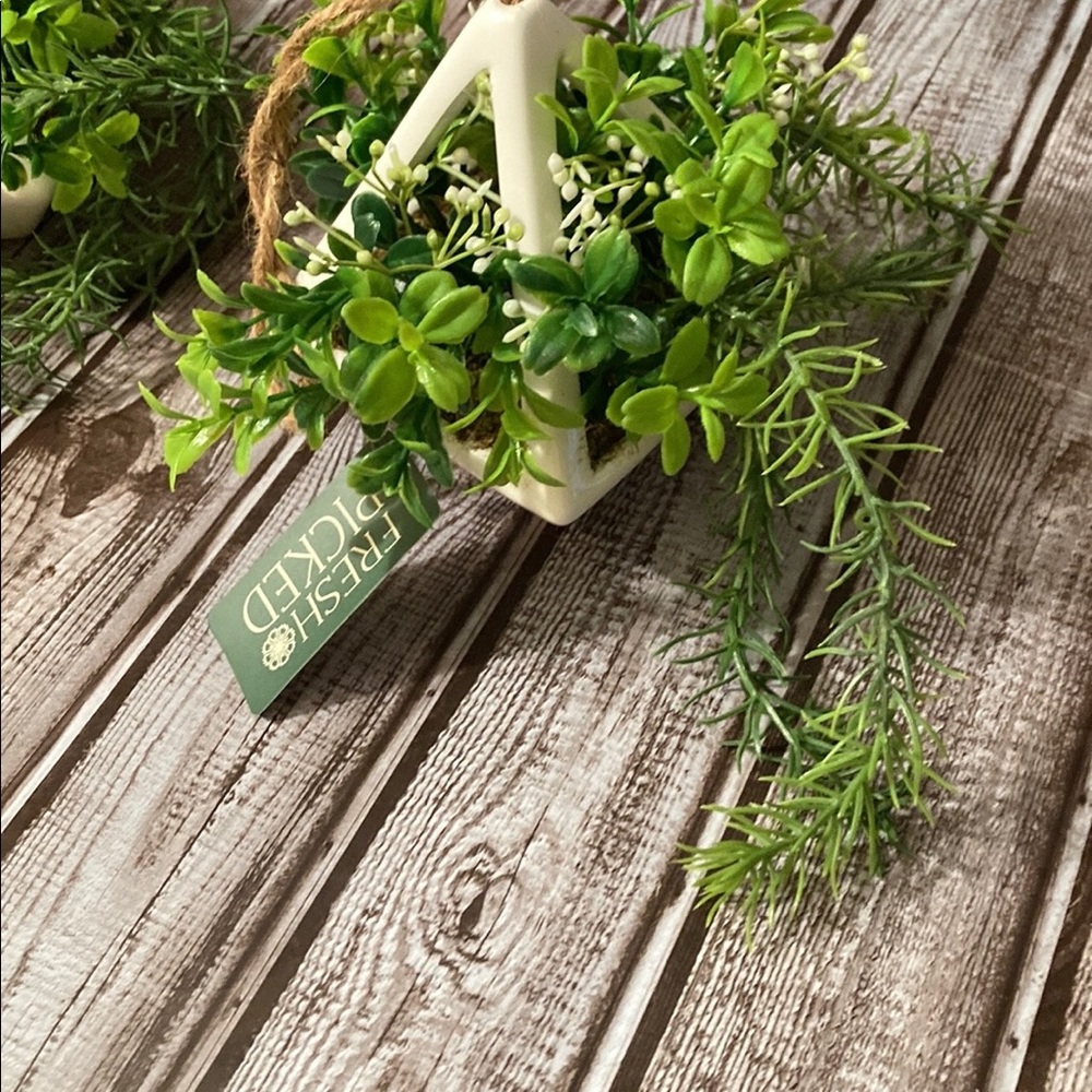 Hanging Plant Arrangement (Set of 2) - Picture 4 of 5